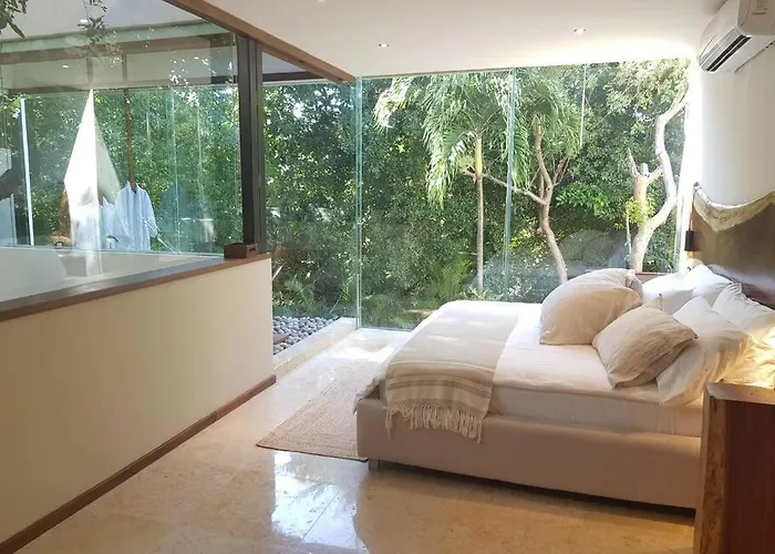 Toh, Riviera Maya *